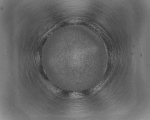 X0000074280372200609151858