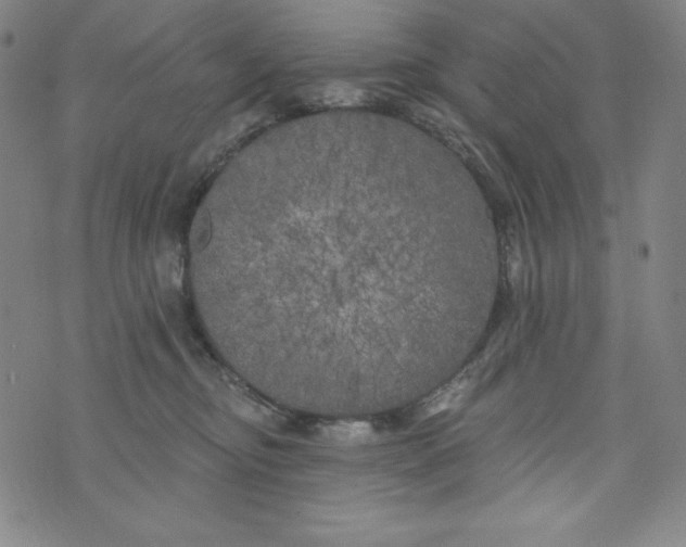 X0000074280374200609151858