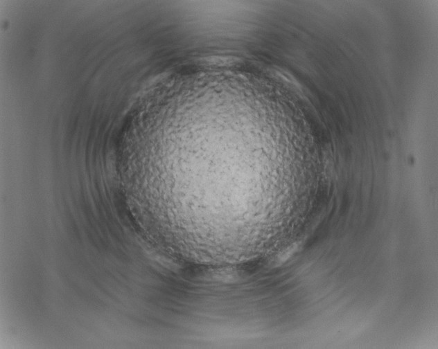 X0000074280377200609151858