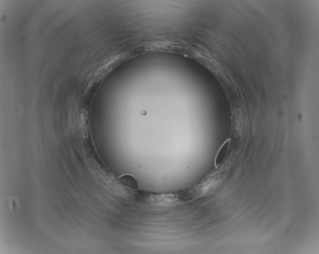 X0000074280378200609151858