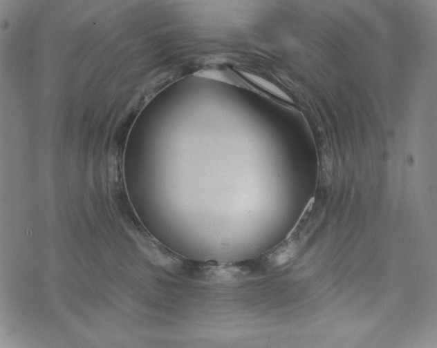 X0000074280379200609151858