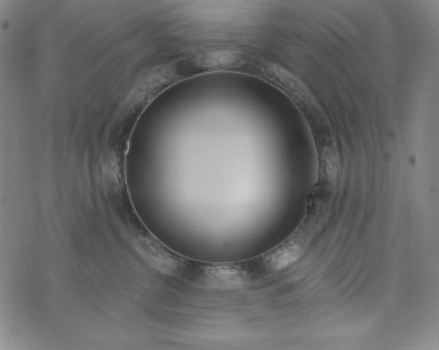 X0000074280380200609151858