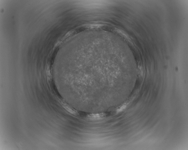 X0000074280381200609151858