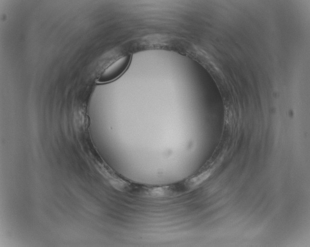 X0000074280382200609151858