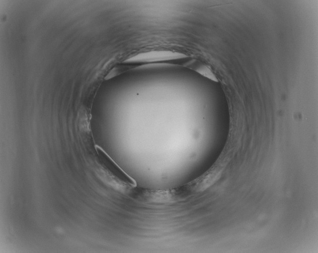 X0000074280384200609151858