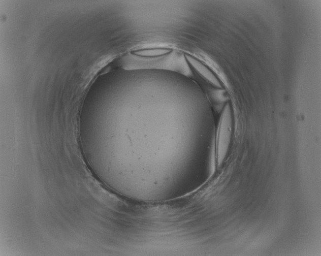 X0000074280385200609151857