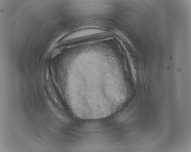 X0000074280386200609151857