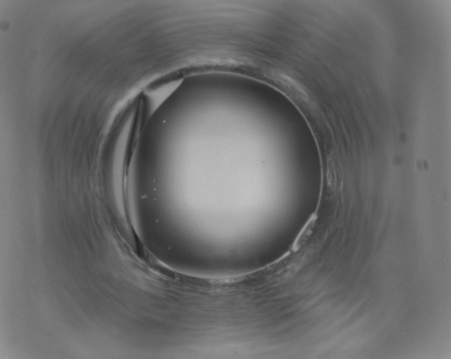 X0000074280388200609151857