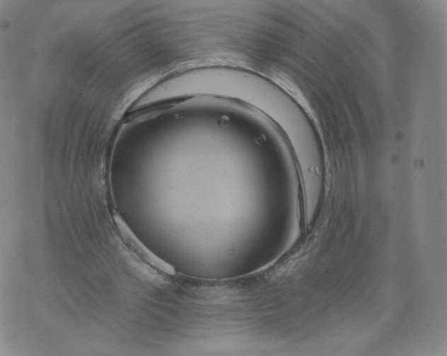 X0000074280389200609151857