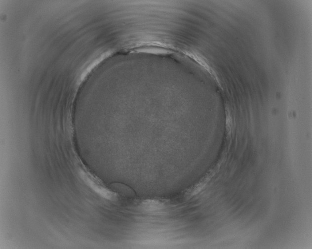 X0000074280390200609151857