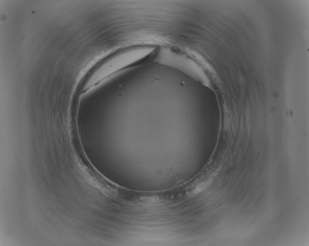 X0000074280391200609151857