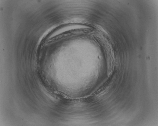 X0000074280392200609151857