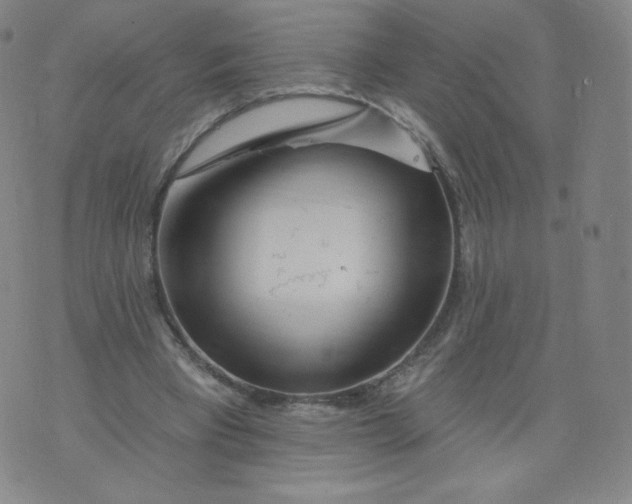 X0000074280393200609151857