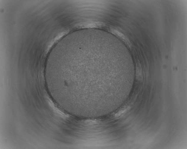 X0000074280394200609151857