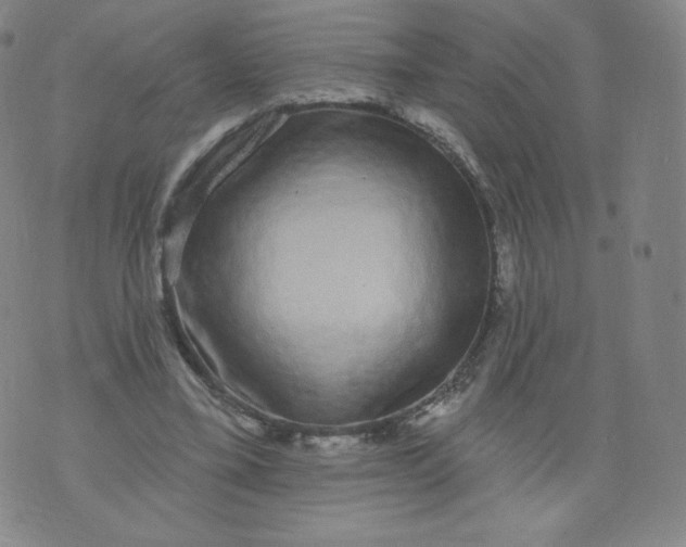 X0000074280395200609151857