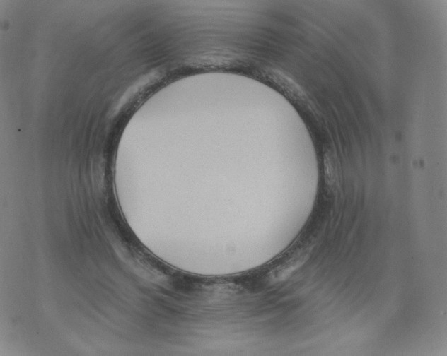 X0000074280396200609151857