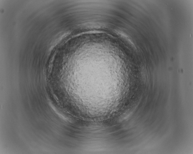 X0000074280398200609151857