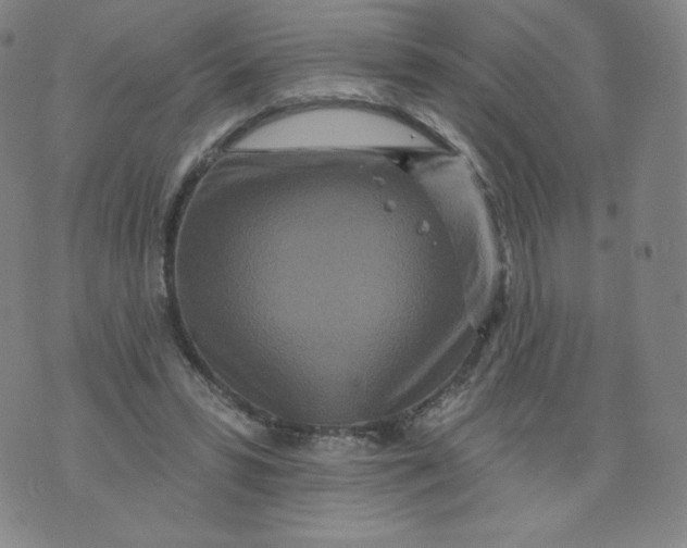 X0000074280399200609151857