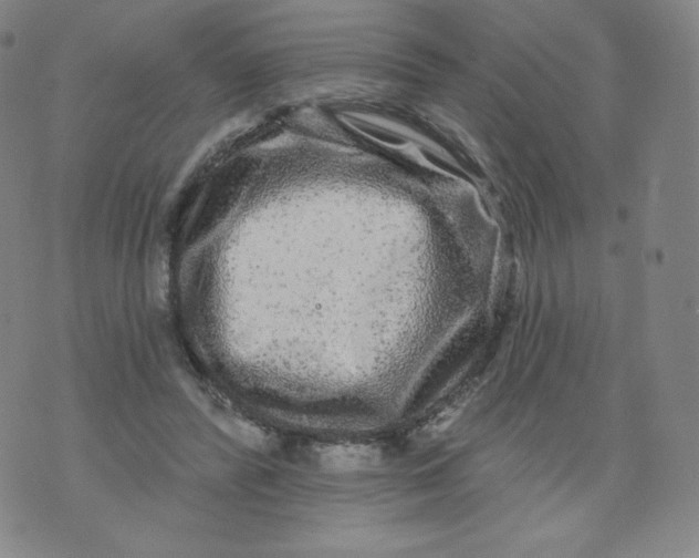 X0000074280400200609151857