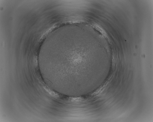 X0000074280401200609151857