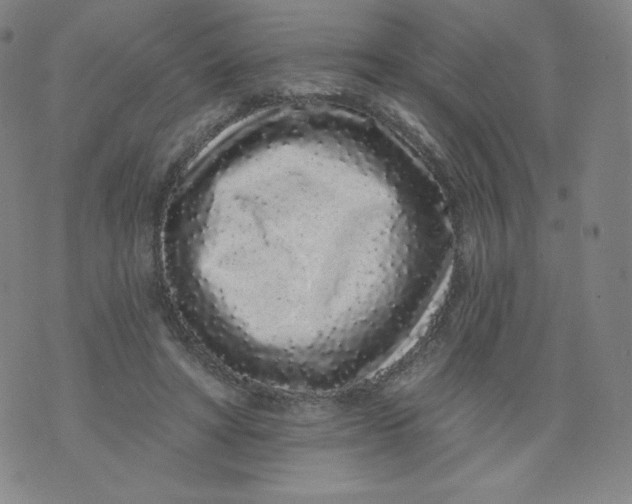 X0000074280402200609151857