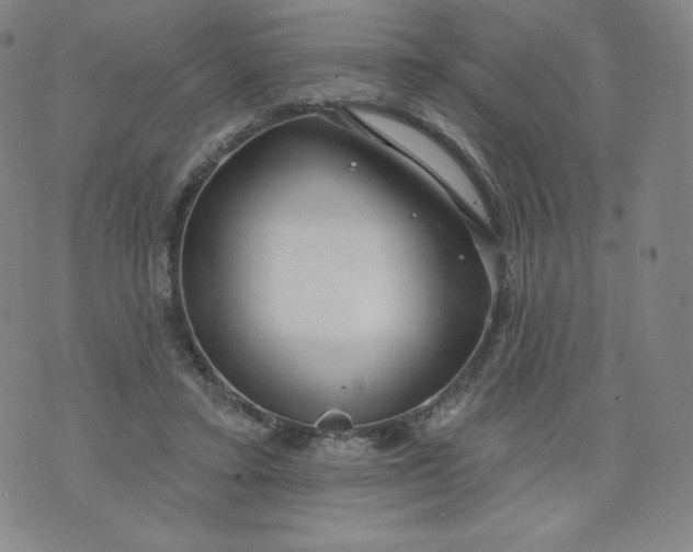 X0000074280403200609151857