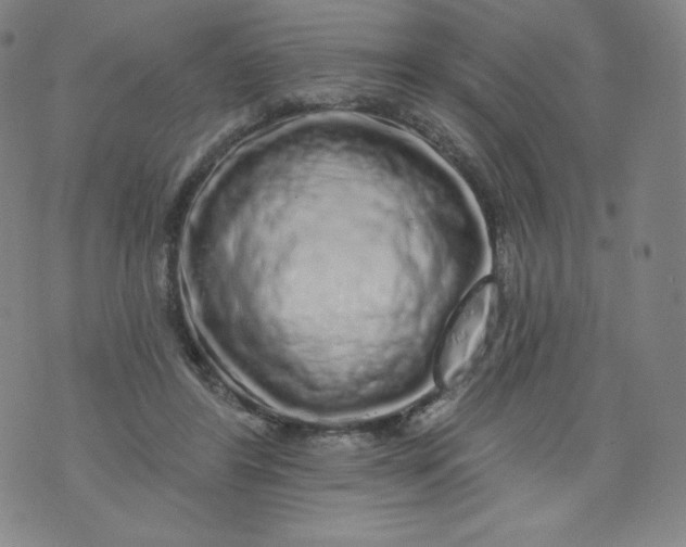 X0000074280404200609151857