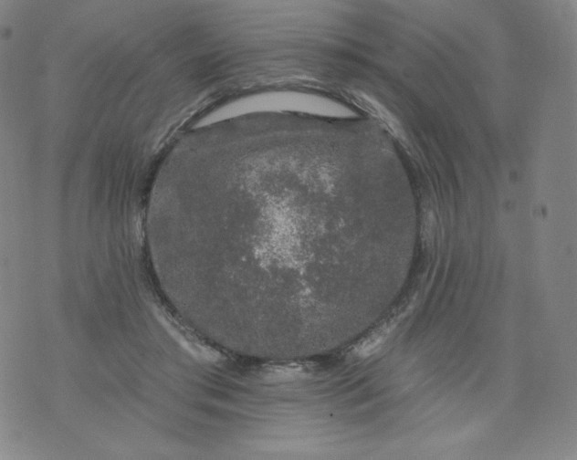 X0000074280405200609151857