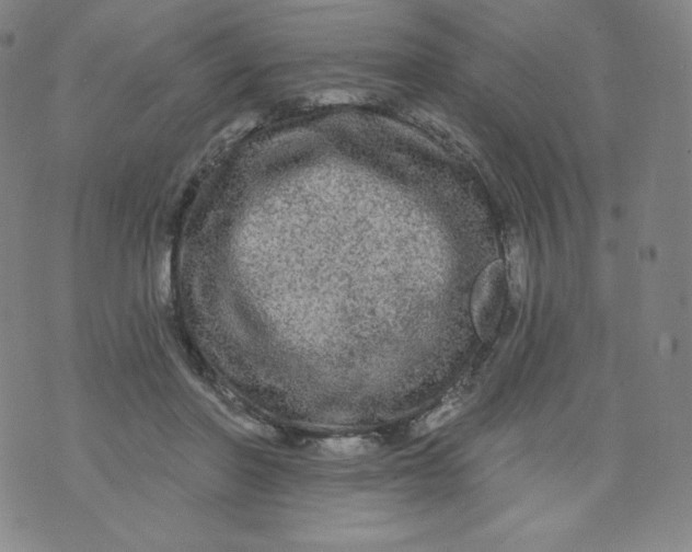 X0000074280406200609151857