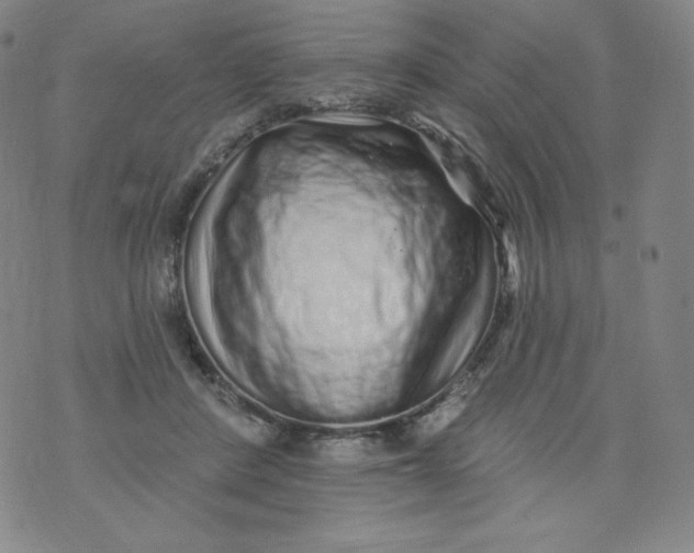 X0000074280408200609151857