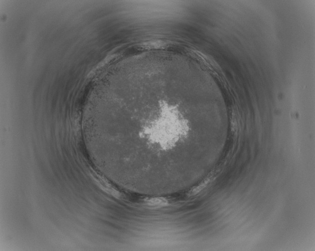 X0000074280409200609151857