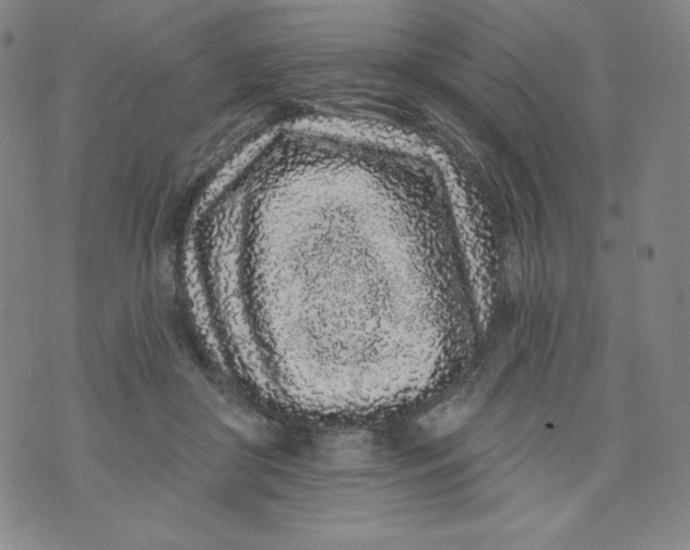 X0000074280410200609151857