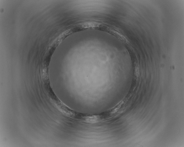 X0000074280411200609151857