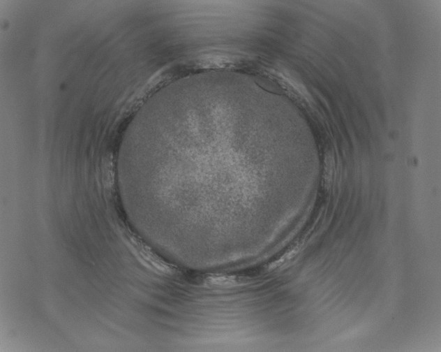 X0000074280413200609151857