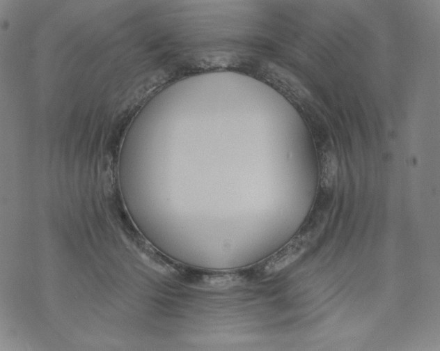 X0000074280414200609151857