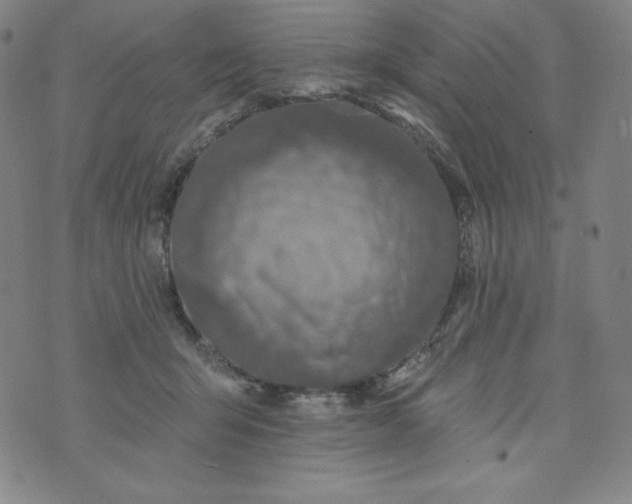 X0000074280415200609151857