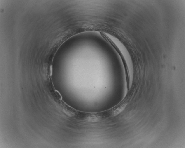 X0000074280416200609151857