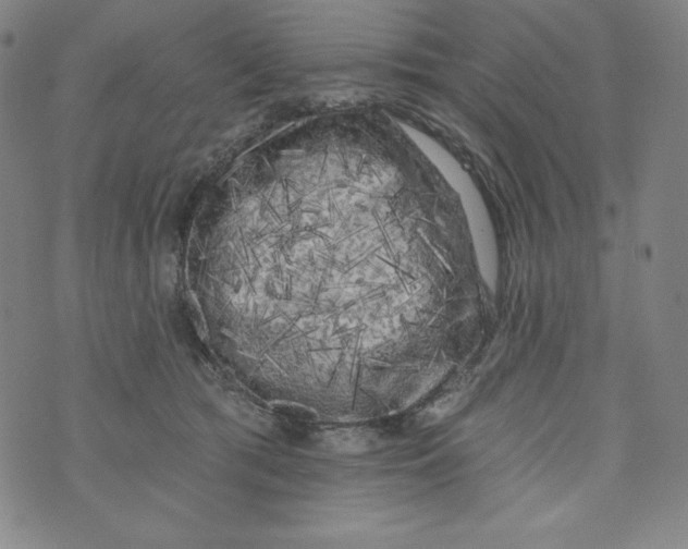 X0000074280417200609151857