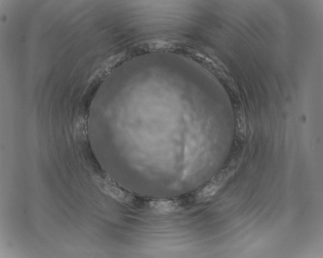 X0000074280419200609151857