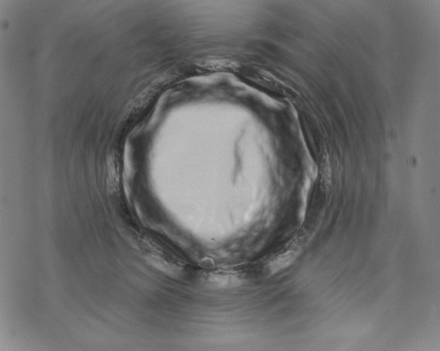 X0000074280420200609151857