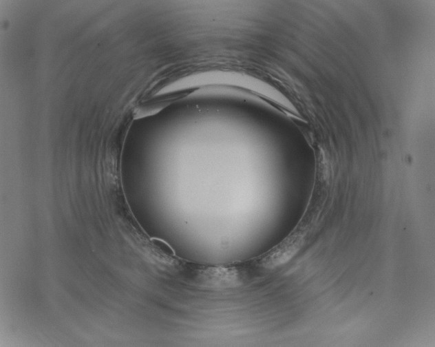 X0000074280421200609151857