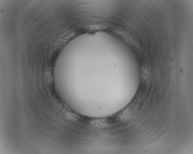 X0000074280422200609151857