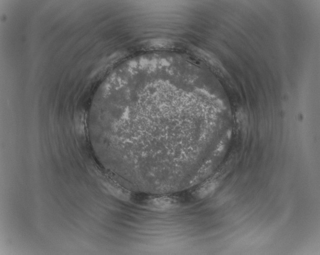 X0000074280423200609151856