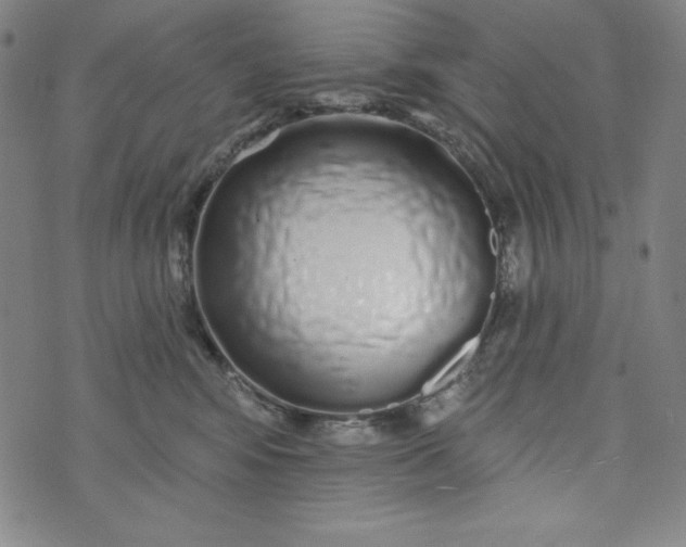 X0000074280424200609151856