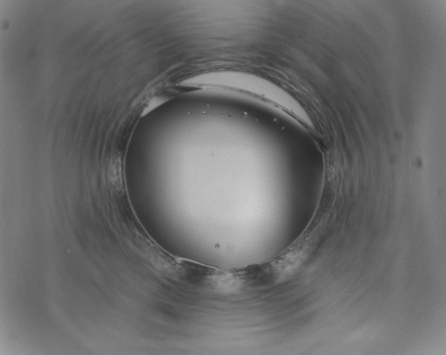 X0000074280425200609151856