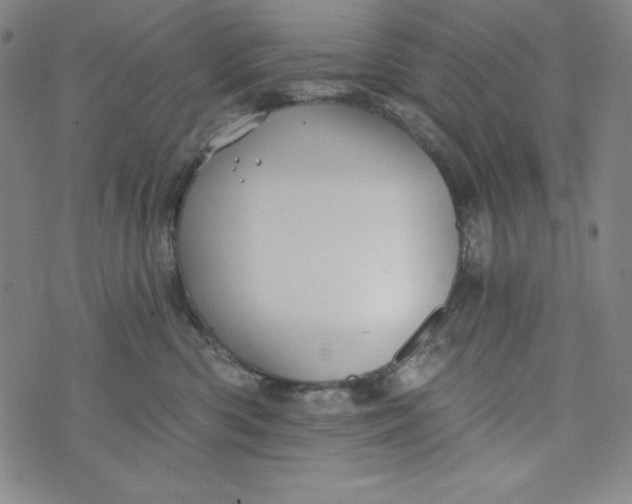 X0000074280426200609151856