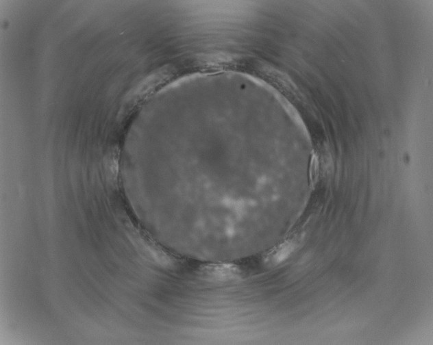 X0000074280427200609151856