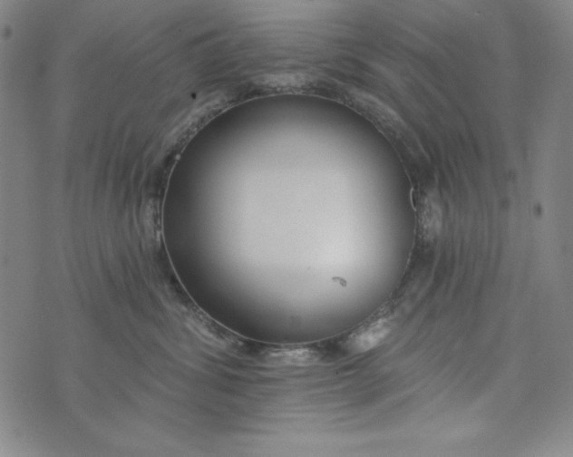 X0000074280428200609151856