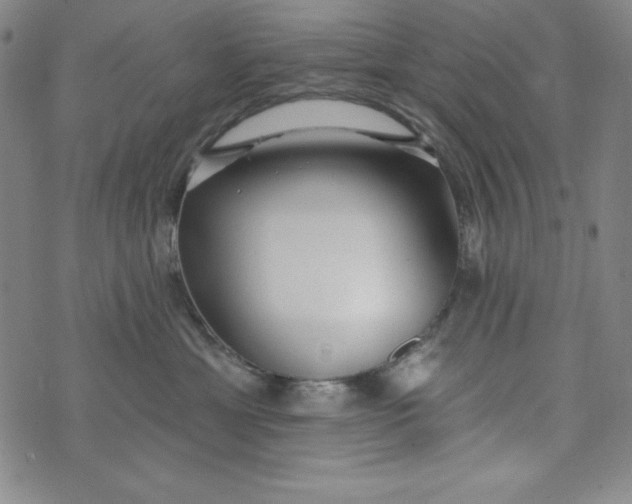 X0000074280429200609151856