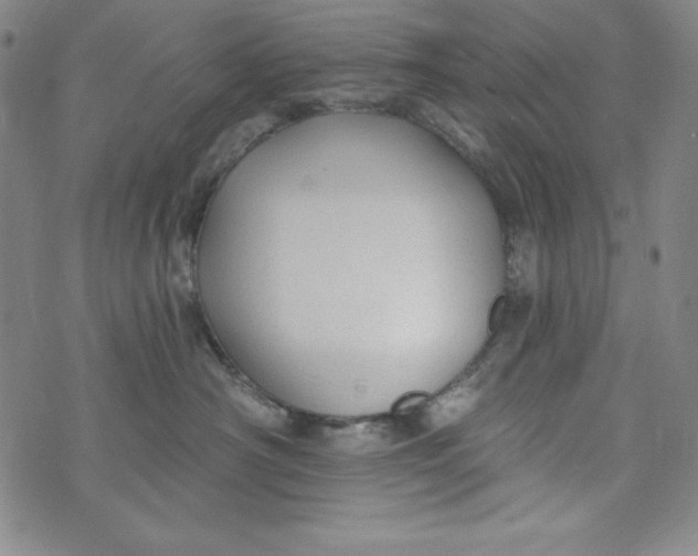 X0000074280430200609151856